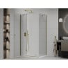 Mexen Roma Hinged Shower Enclosure 120 x 80 cm, Transparent, Gold + Flat Tray - 854-120-080-50-00-4010