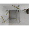 Mexen Roma Duo Pivot Shower Enclosure 70 x 70 cm, Transparent, Gold - 854-070-070-50-00-02
