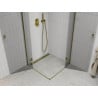 Mexen Roma Duo hinged shower cubicle 70 x 70 cm, Transparent, Gold - 854-070-070-50-00-02