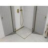 Mexen Roma Duo Pivot Shower Enclosure 70 x 70 cm, Transparent, Gold - 854-070-070-50-00-02