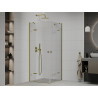 Mexen Roma Duo Pivot Shower Enclosure 70 x 70 cm, Transparent, Gold - 854-070-070-50-00-02