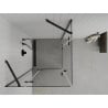 Mexen Roma Duo Hinged Shower Enclosure 70 x 70 cm, Transparent, Black - 854-070-070-70-00-02