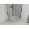 Mexen Roma Duo shower cabin with hinged doors 100 x 100 cm, transparent, gold + Flat tray - 854-100-100-50-02-4010G