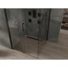 Mexen Omega sliding shower cabin 100 x 100 cm, transparent, black - 825-100-100-70-00