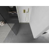 Mexen Kioto Walk-in Shower Wall 120 x 200 cm, Transparent 8 mm, Gold - 800-120-101-50-00