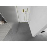 Mexen Kioto Walk-in Shower Panel 100 x 200 cm, Frosted 8 mm, Gold - 800-100-101-50-30