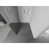Mexen Kioto Walk-in Shower Screen 100 x 200 cm, Mirror 8 mm, Chrome - 800-100-101-01-50