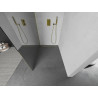 Mexen Kioto Walk-in shower screen 90 x 200 cm, mirror 8 mm, gold - 800-090-101-50-50