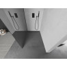 Mexen Kioto Walk-in Shower Wall 120 x 200 cm, Mirror 8 mm, Black - 800-120-101-70-50