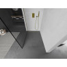Mexen Kioto Walk-in Shower Panel 130 x 200 cm, Black Frame 8 mm, Gold - 800-130-101-50-70
