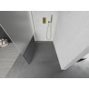 Mexen Kioto Walk-in Shower Wall 140 x 200 cm, Transparent/Frost 8 mm, Gold - 800-140-101-50-35