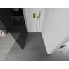 Mexen Kioto Walk-in Shower Wall 130 x 200 cm, Graphite 8 mm, Gold - 800-130-101-50-40