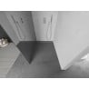 Mexen Kioto Walk-in Shower Screen 130 x 200 cm, Mirror 8 mm, Chrome - 800-130-101-01-50