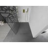 Mexen Kioto Walk-in Shower Screen 100 x 200 cm, White Pattern 8 mm, Gold - 800-100-101-50-85