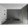 Mexen Kioto+ shower wall with Walk-in shelf 120 x 200 cm, transparent, gold - 800-120-121-50-00