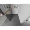 Mexen Kioto+ shower wall with Walk-in shelf 80 x 200 cm, mirror, gold - 800-080-121-50-50