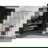 Mexen Kioto+ shower screen with a shelf and rail 110 x 200 cm, Transparent/Black pattern 8 mm, Gold - 800-110-121-50-77