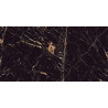 Mexen Python Gold glazed rectified tile G1, floor-wall tile 120 x 60 cm, high gloss - TL212-120-060-00