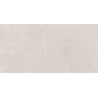 Mexen Semars Silver glazed rectified porcelain tile, floor-wall 120 x 60 cm, matt - TL305-120-060-04