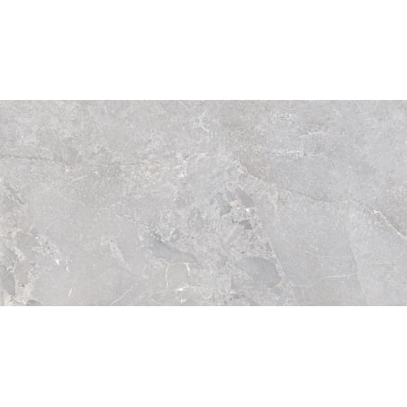 Mexen Terraalite Ash glazed rectified G1 floor-wall tile 120 x 60 cm, matt - TL306-120-060-00