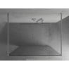 Mexen Kioto freestanding shower wall 150 x 200 cm, transparent 8 mm, chrome - 800-150-002-01-00