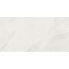 Mexen Aryan Bianco glazed rectified tile G1, floor-wall tile 120 x 60 cm, matte - TL310-120-060-06