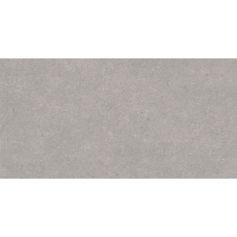 Mexen Monaco Grey Glazed Rectified Porcelain Tile, Floor-Wall 120x60 cm, Matte - TL313-120-060-02