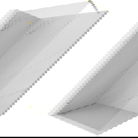 Mexen Lunar Walk-in Shower Wall Left 50 x 200 cm, Transparent 8 mm, Gold - 830-050-000-50-00-L