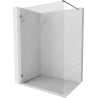 Mexen Lunar Walk-in Shower Wall Left 60 x 200 cm, Transparent 8 mm, Brushed Gun Gray - 830-060-000-66-00-L