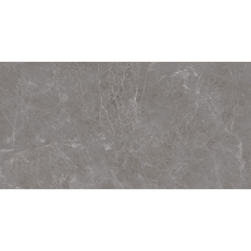Mexen Runa Rectified Glazed Porcelain Gray Tile, Floor and Wall Tile 120 x 60 cm, Matte - TL323-120-060-01