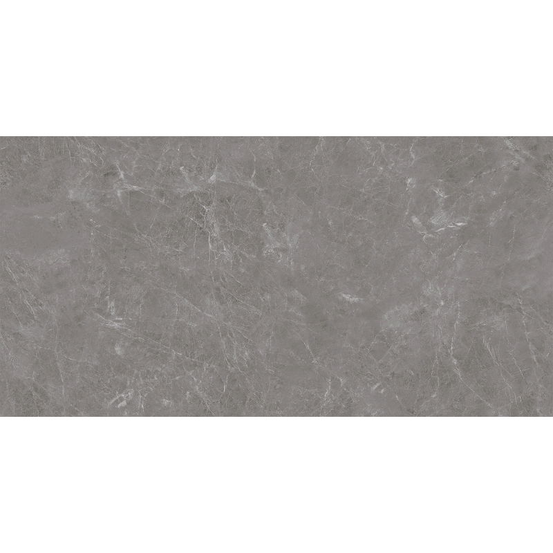 Mexen Runa Rectified Glazed Porcelain Gray Tile, Floor and Wall Tile 120 x 60 cm, Matte - TL323-120-060-01