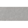 Mexen Megnum Silver glazed rectified tile G1, floor-wall tile 120 x 60 cm, matte - TL342-120-060-03