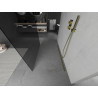 Mexen Kioto freestanding shower wall 100 x 200 cm, graphite 8 mm, gold - 800-100-002-50-40