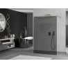 Mexen Kioto free-standing shower screen 100 x 200 cm, Graphite, Gold - 800-100-002-50-40