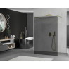 Mexen Kioto freestanding shower wall 100 x 200 cm, graphite 8 mm, gold - 800-100-002-50-40
