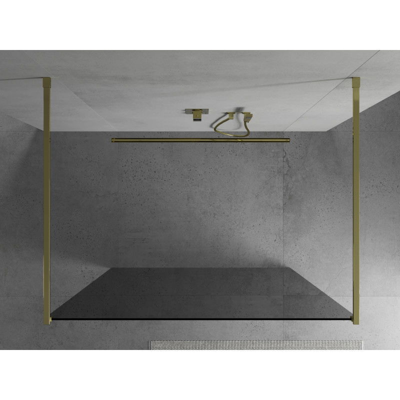 Mexen Kioto Freestanding Shower Panel 100 x 200 cm, Graphite 8 mm, Gold - 800-100-002-50-40