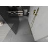 Mexen Kioto freestanding shower wall 120 x 200 cm, graphite 8 mm, gold - 800-120-002-50-40
