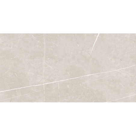 Mexen Dazzle Silver Glazed Rectified Porcelain Tile G1, Floor-Wall Tile 120 x 60 cm, Carving - TL423-120-060-00