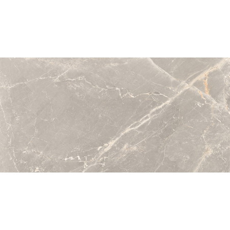 Mexen Dorado Grey Glazed Rectified Porcelain Tile G1, Floor-Wall Tile 120 x 60 cm, Carving - TL431-120-060-01