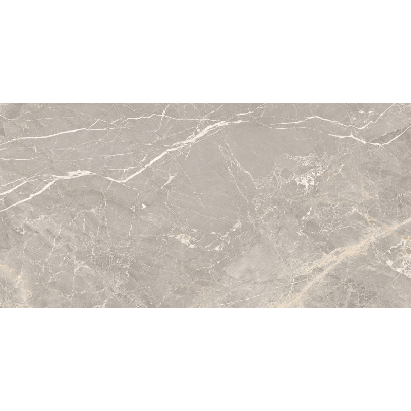 Mexen Dorado Grey glazed porcelain rectified G1, floor-wall tile 120 x 60 cm, carving - TL431-120-060-01