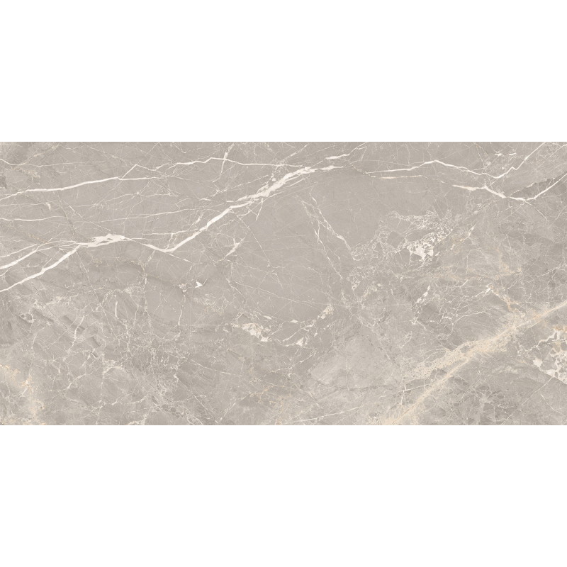 Mexen Dorado Grey Glazed Rectified Porcelain Tile G1, Floor-Wall Tile 120 x 60 cm, Carving - TL431-120-060-01