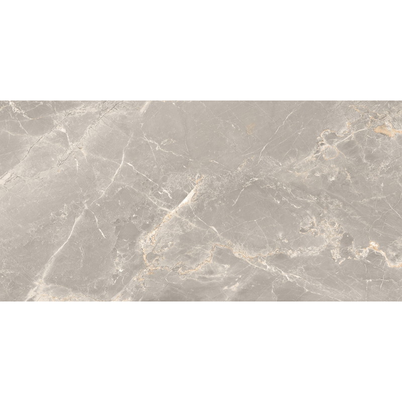 Mexen Dorado Grey Glazed Rectified Porcelain Tile G1, Floor-Wall Tile 120 x 60 cm, Carving - TL431-120-060-01