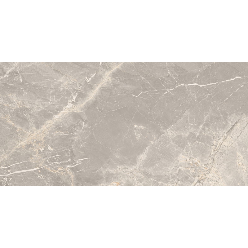 Mexen Dorado Grey Glazed Rectified Porcelain Tile G1, Floor-Wall Tile 120 x 60 cm, Carving - TL431-120-060-01