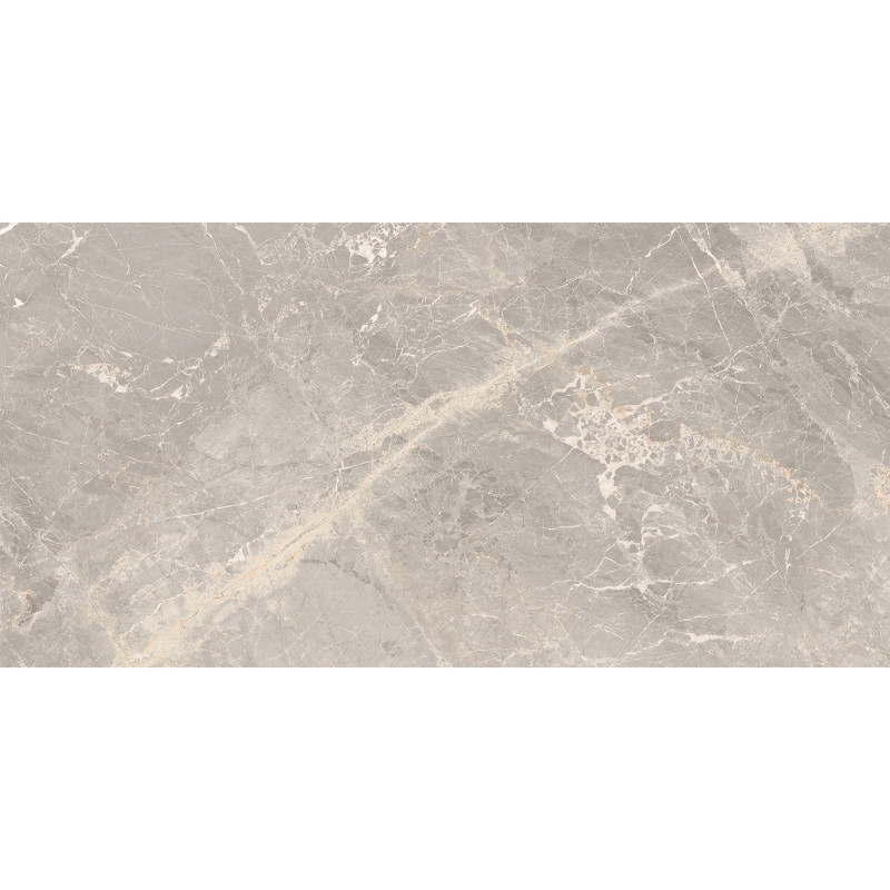 Mexen Dorado Grey Glazed Rectified Porcelain Tile G1, Floor-Wall Tile 120 x 60 cm, Carving - TL431-120-060-01