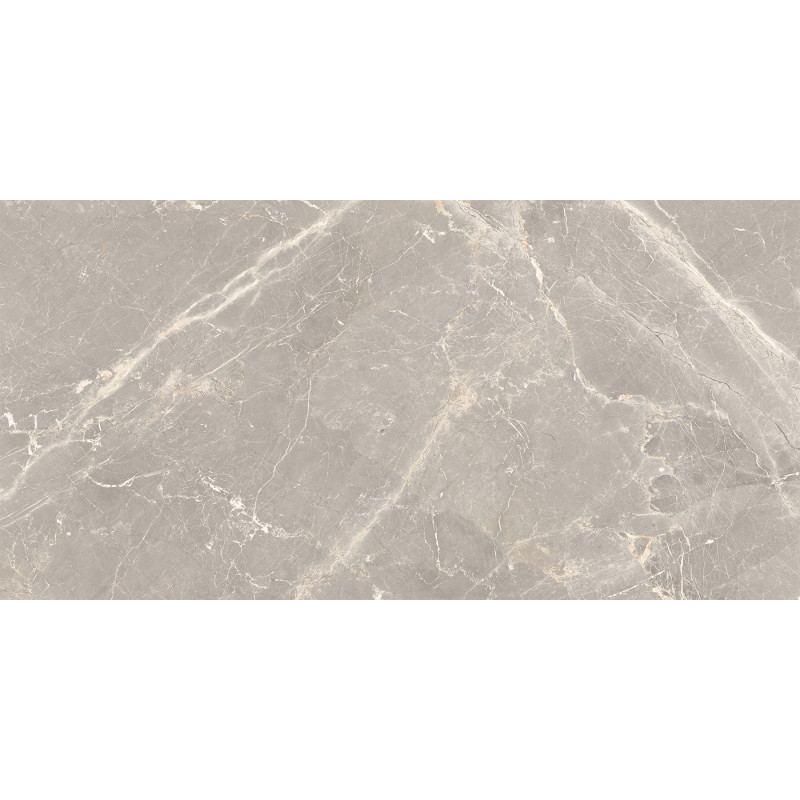 Mexen Dorado Grey Glazed Rectified Porcelain Tile G1, Floor-Wall Tile 120 x 60 cm, Carving - TL431-120-060-01