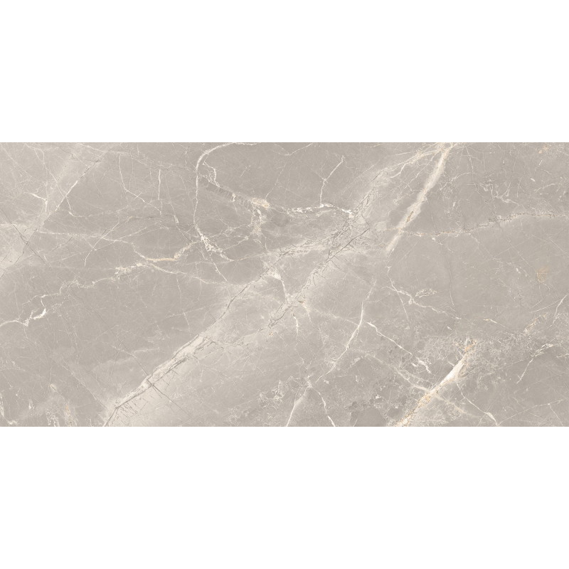 Mexen Dorado Grey Glazed Rectified Porcelain Tile G1, Floor-Wall Tile 120 x 60 cm, Carving - TL431-120-060-01