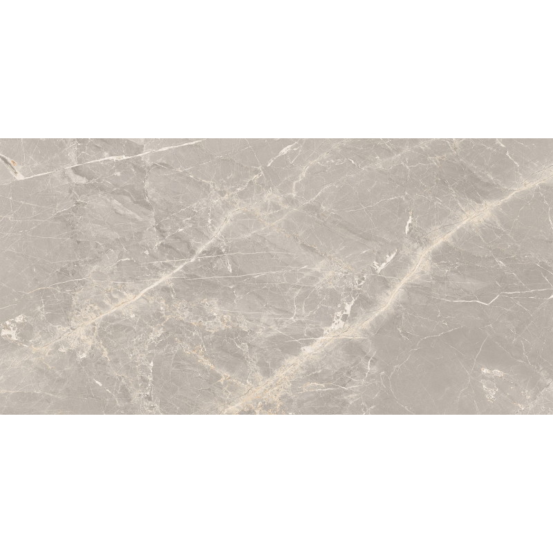 Mexen Dorado Grey Glazed Rectified Porcelain Tile G1, Floor-Wall Tile 120 x 60 cm, Carving - TL431-120-060-01