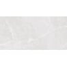 Mexen Jerico Silver glazed rectified G1 tile, floor-wall 120 x 60 cm, carving - TL435-120-060-02