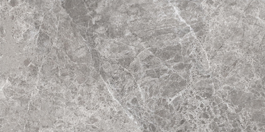 Mexen Lizard Grey glazed rect. G1 floor-wall tile 120 x 60 cm, gloss - TL109-120-060-02
