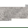 Mexen Lizard Grey glazed rectified gres G1, floor-wall tile 120 x 60 cm, gloss - TL109-120-060-02